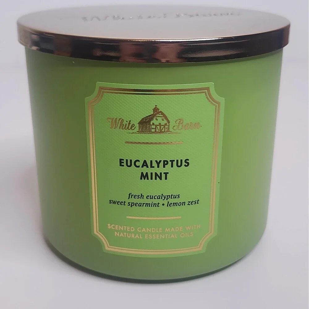 White Barn Eucalyptus Mint Scented 3-Wick Jar Candle Large Green 14.5oz